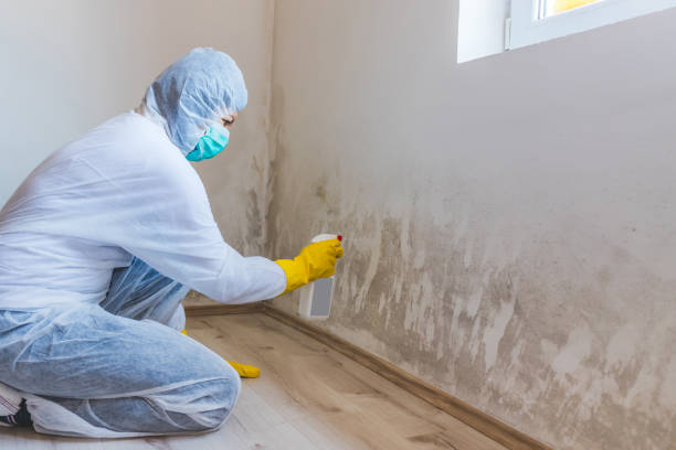 Hvac And Air Duct Mold Remediation inspection of HVAC system in Mill Hall