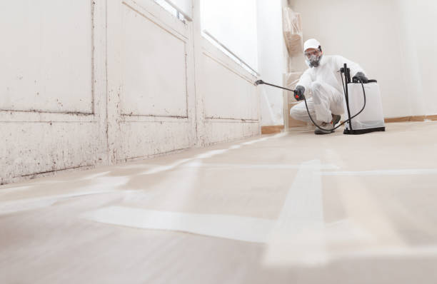 Black mold remediation team in Mill Hall